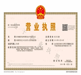 企业法人执照